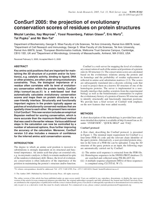 ConSurf 2005 the projection of evolutionary conservation scores of residues on protein stru