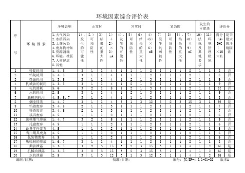 环境因素综合评价表