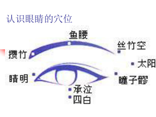 认识眼睛的穴位