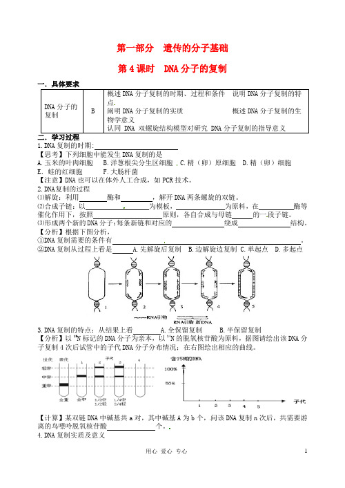 江苏省淮安中学高三生物总复习 5-4DNA的复制学案