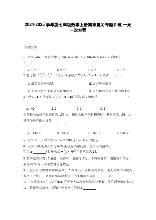 2024-2025学年度七年级数学上册期末复习专题训练 一元一次方程[含答案]