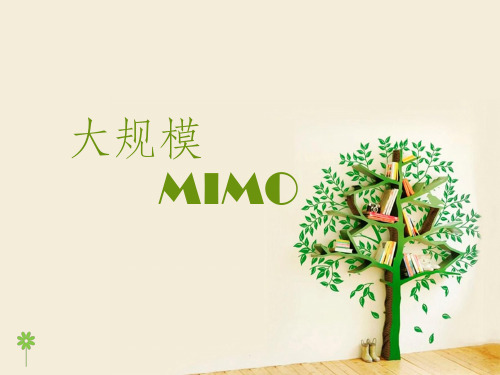 大规模MIMOppt课件