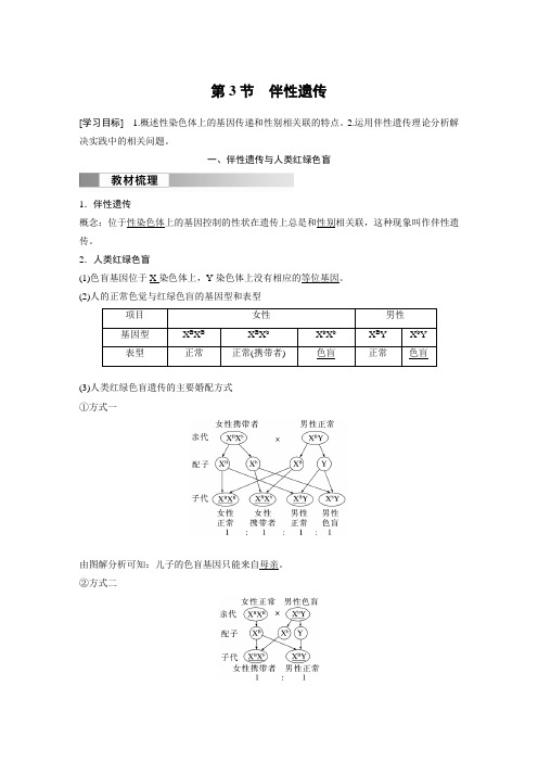 2024年高中生物新教材同步必修第二册 第2章 第3节 伴性遗传