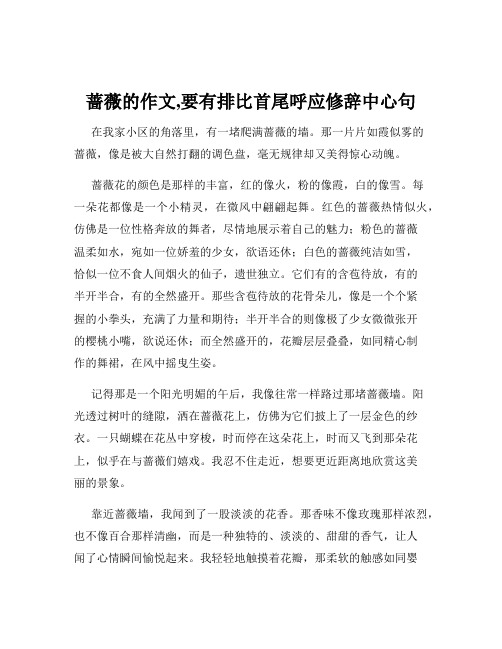 蔷薇的作文,要有排比首尾呼应修辞中心句