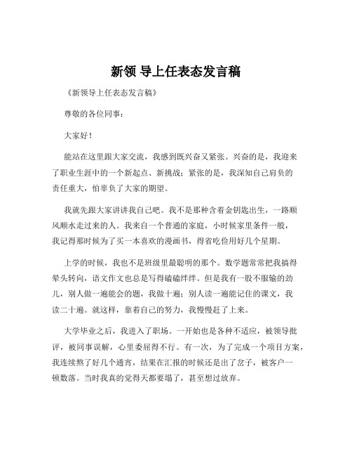 新领 导上任表态发言稿