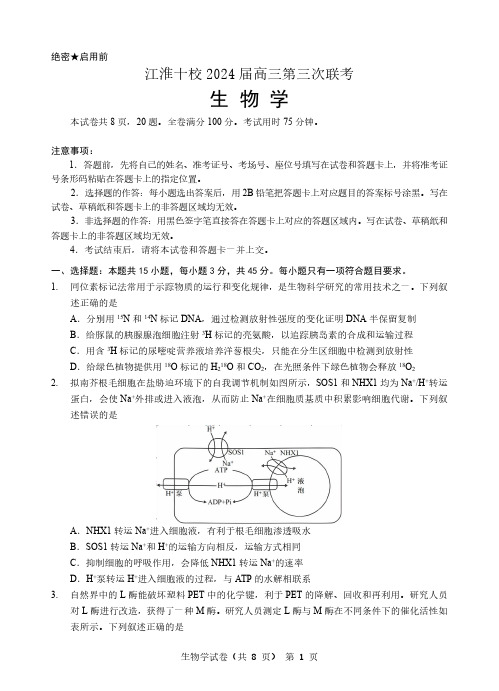 2024安徽省江淮十校高三下学期第三次联考生物试题及答案