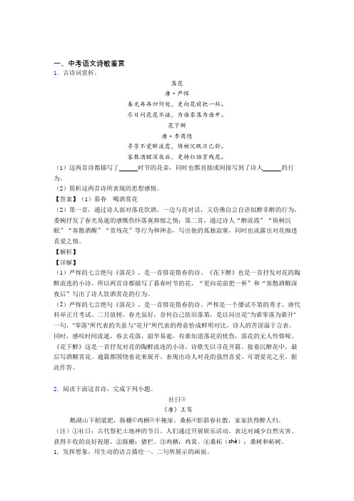 2020-2021中考语文二模试题分类汇编——诗歌鉴赏综合及答案