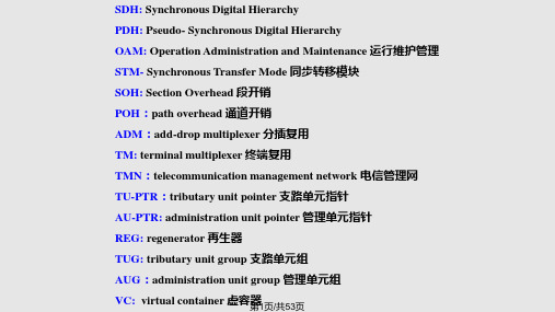 SDH基本原理和概念PPT课件