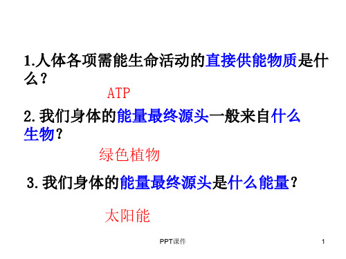 光合色素的提取与分离  ppt课件