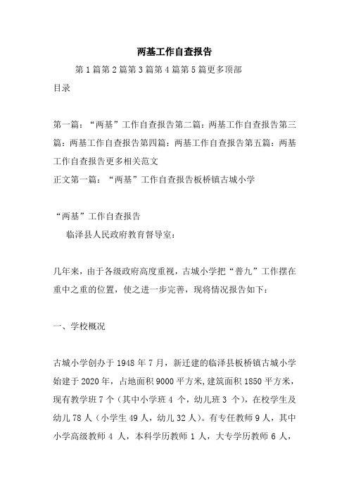 最新两基工作自查报告 (2)