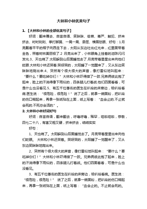 大林和小林优美句子