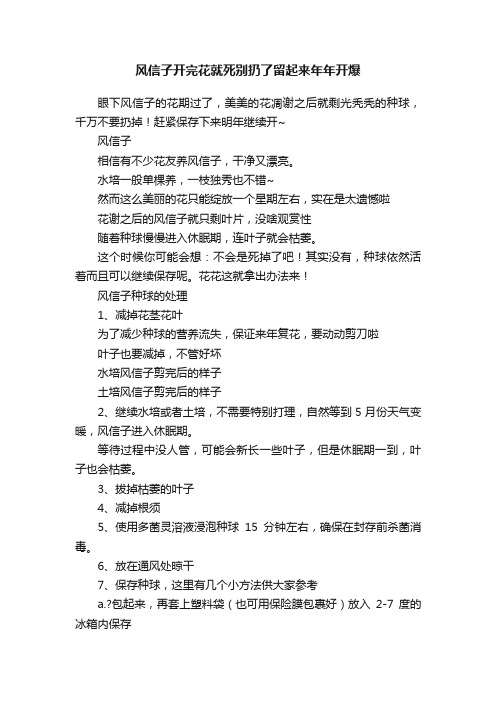 风信子开完花就死别扔了留起来年年开爆