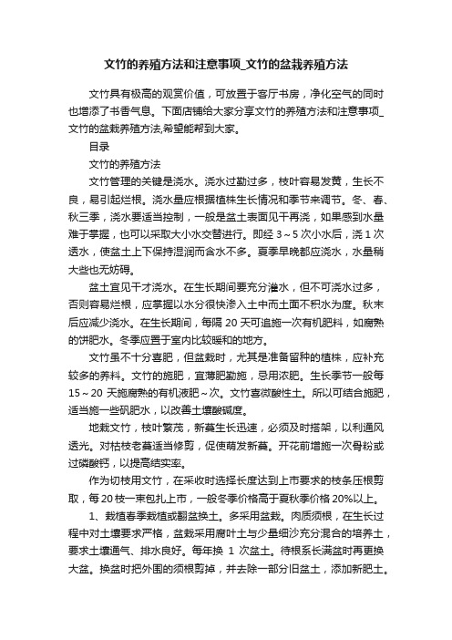 文竹的养殖方法和注意事项_文竹的盆栽养殖方法