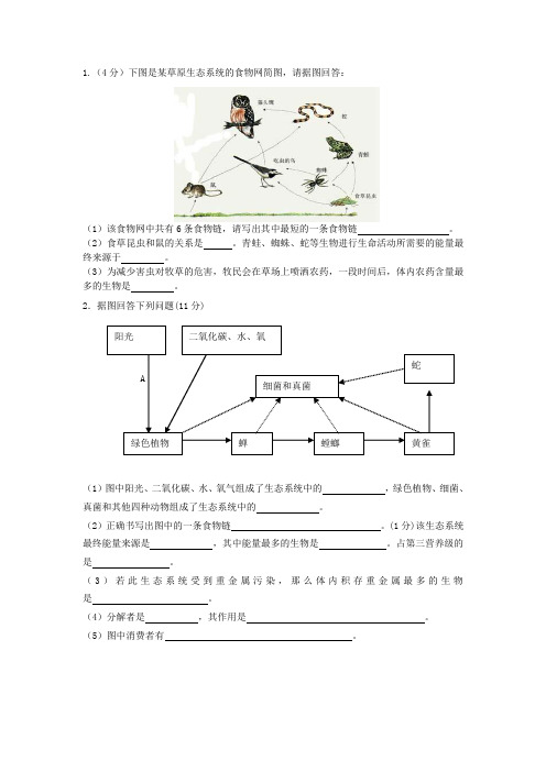 八年级生物精选食物链题型