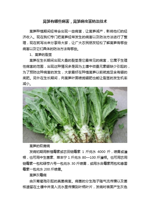 莴笋有哪些病害，莴笋病虫害防治技术