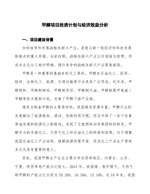 甲醇项目投资计划与经济效益分析