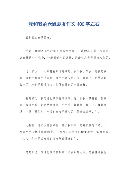 我和我的仓鼠朋友作文400字左右