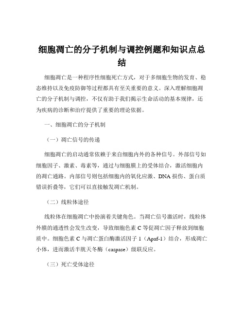 细胞凋亡的分子机制与调控例题和知识点总结