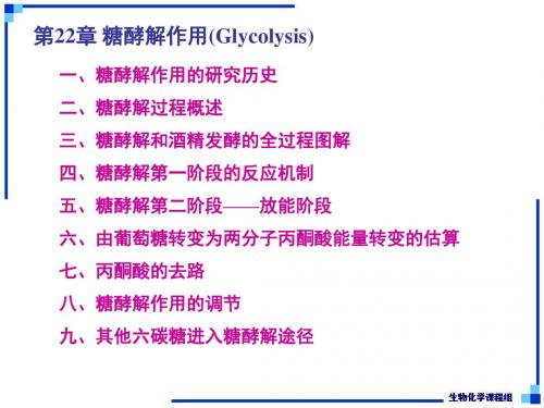 生物化学下-第22章 糖酵解作用