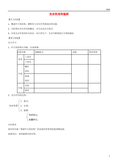 2019八年级生物上册 3.3.3光合作用的场所学案(无答案)(新版)冀教版