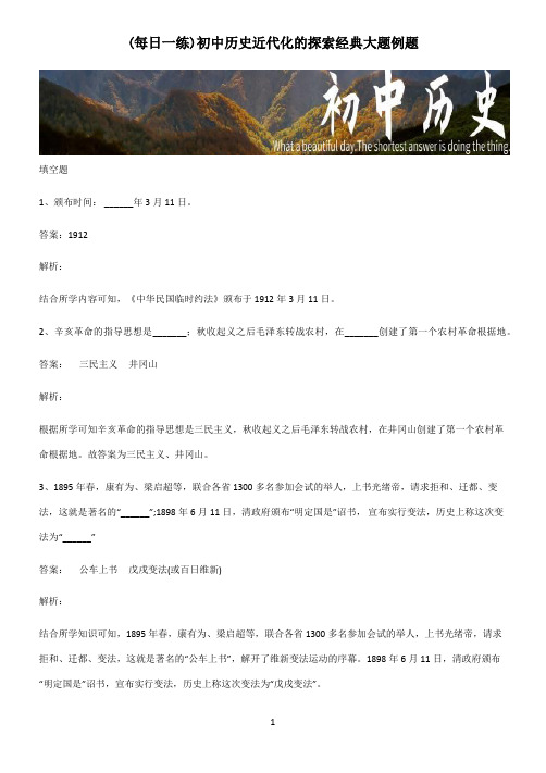 初中历史近代化的探索经典大题例题