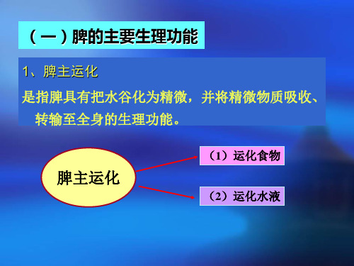 五、脾(中医与养生课件)PPT幻灯片