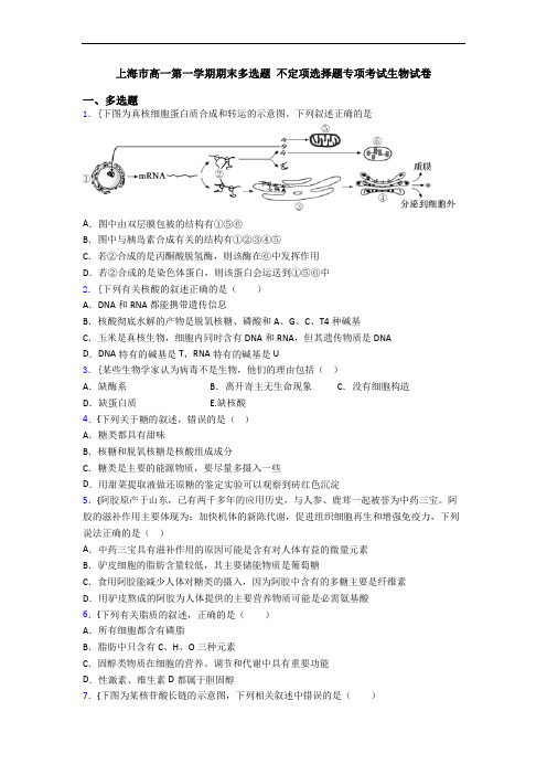 上海市高一第一学期期末多选题 不定项选择题专项考试生物试卷