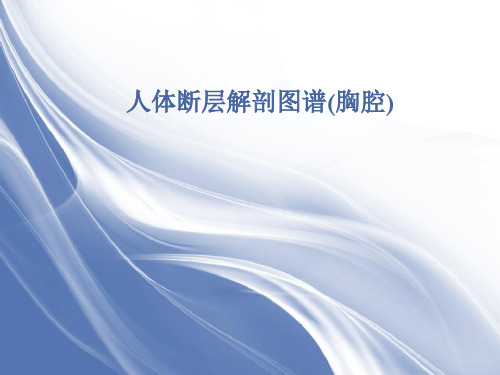 人体断层解剖图谱(胸腔)