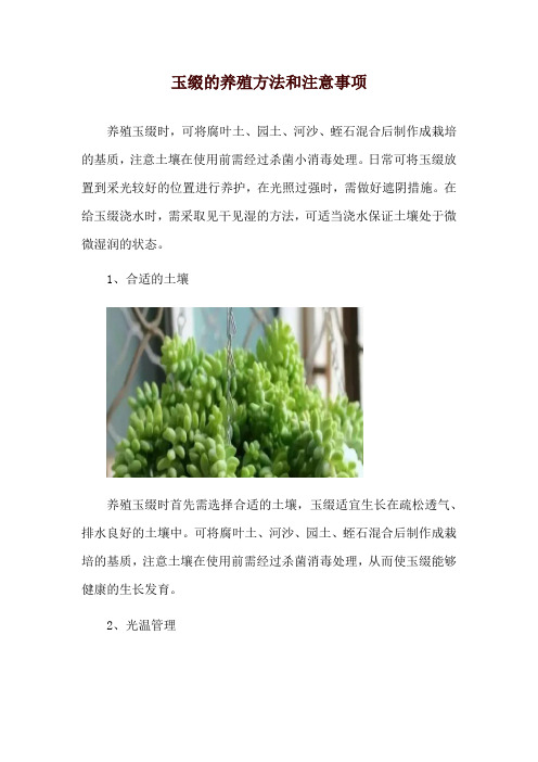 玉缀的养殖方法和注意事项_1