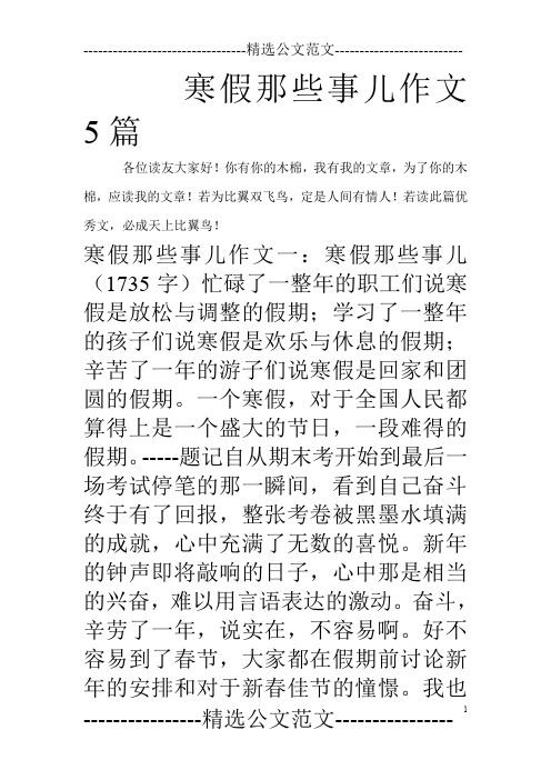 寒假那些事儿作文5篇