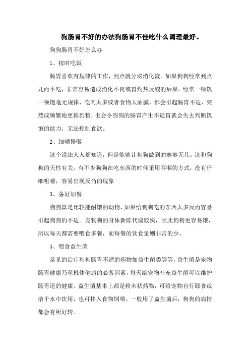 狗肠胃不好的办法狗肠胃不佳吃什么调理最好