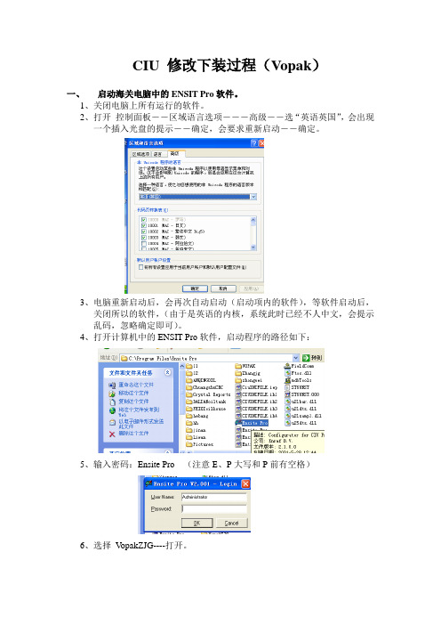 CIU 修改下装和Entis Pro引导实例