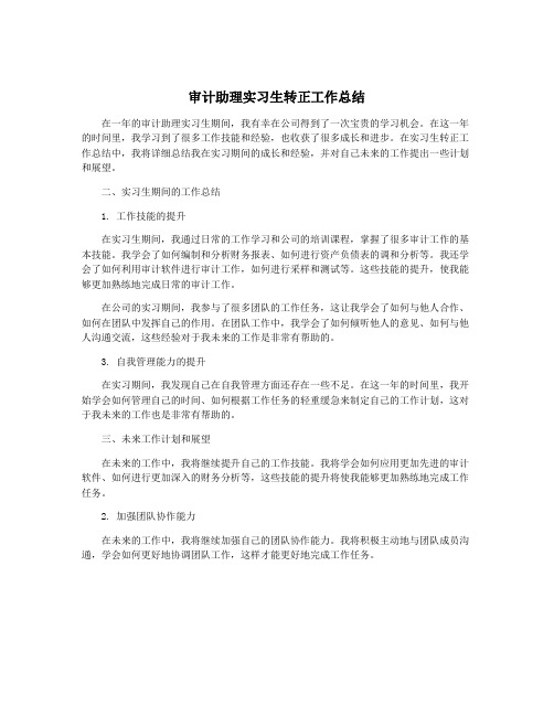 审计助理实习生转正工作总结