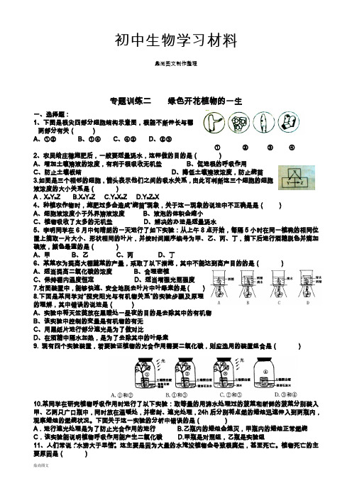 专题训练二    绿色开花植物的一生