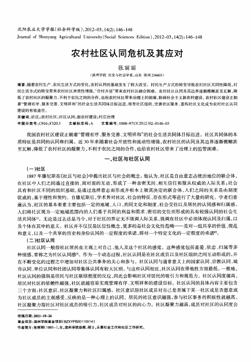 农村社区认同危机及其应对