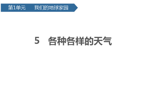 二年级上册科学课件15各种各样的天气 教科版(共12页)PPT