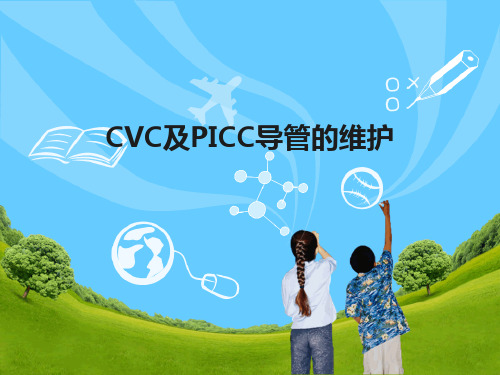 cvc和picc导管的维护ppt课件