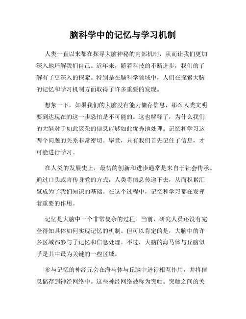 脑科学中的记忆与学习机制