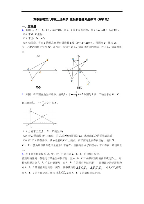 苏教版初三九年级上册数学 压轴解答题专题练习(解析版)