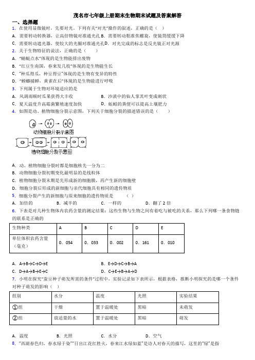 茂名市七年级上册期末生物期末试题及答案解答