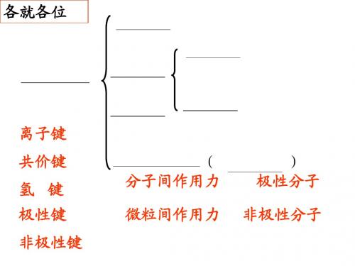 金属键与金属特性