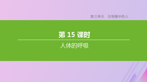 中考生物复习第三单元生物圈中的人第15课时人体的呼吸课件201911141176