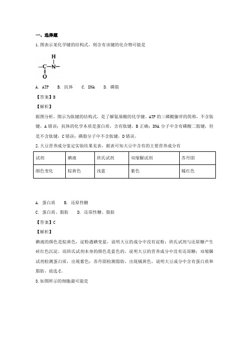 上海市浦东新区高三生命科学下学期教学质量检测(二模)试题(含解析)