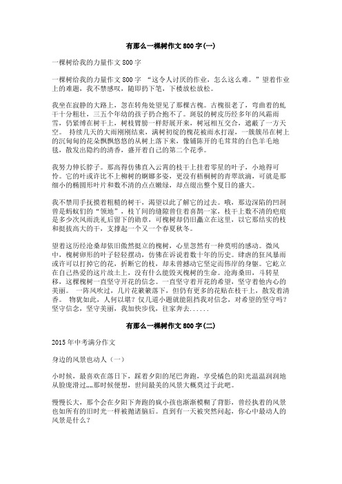 有那么一棵树作文800字