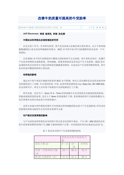 改善牛奶质量可提高奶牛受胎率