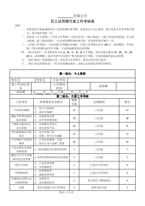 新入职员工试用期考核表