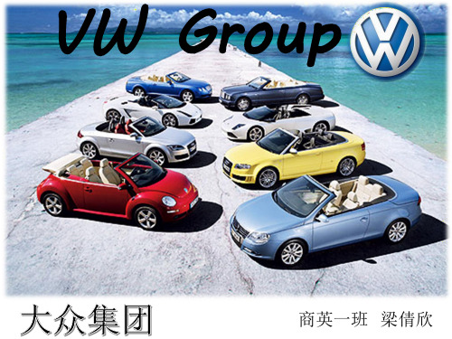 vw group大众集团英语介绍