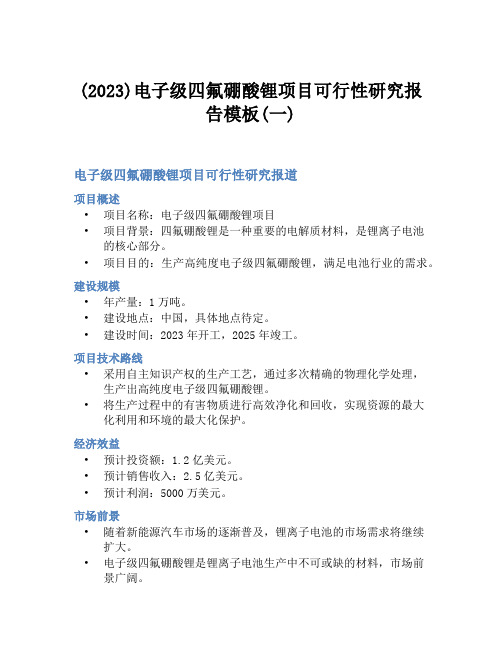 (2023)电子级四氟硼酸锂项目可行性研究报告模板(一)