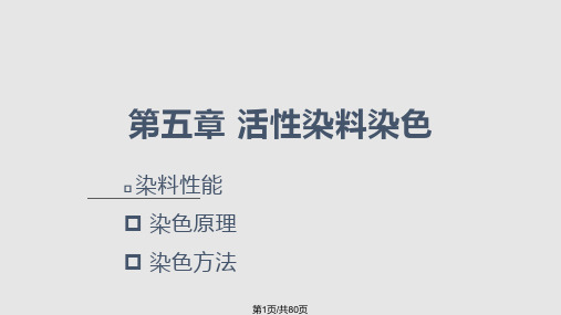 纺织品染印原理活性染料染色PPT课件