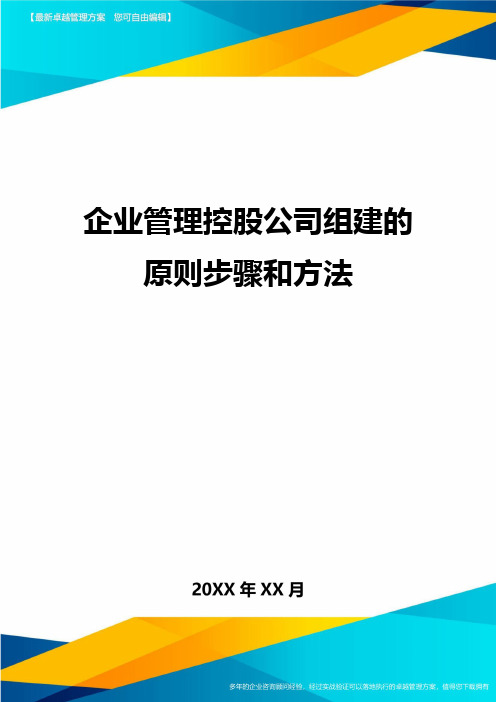 企业管理控股公司组建的原则步骤和方法方案